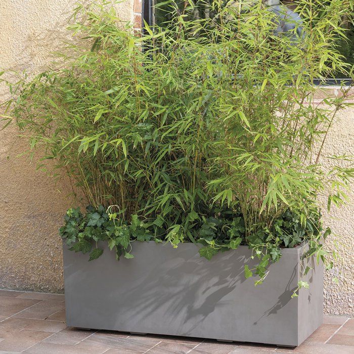 Pot de fleurs rectangulaire - DEROMA - Millennium - 97 L - 99 cm - A réserve d'eau et roulettes - Marron