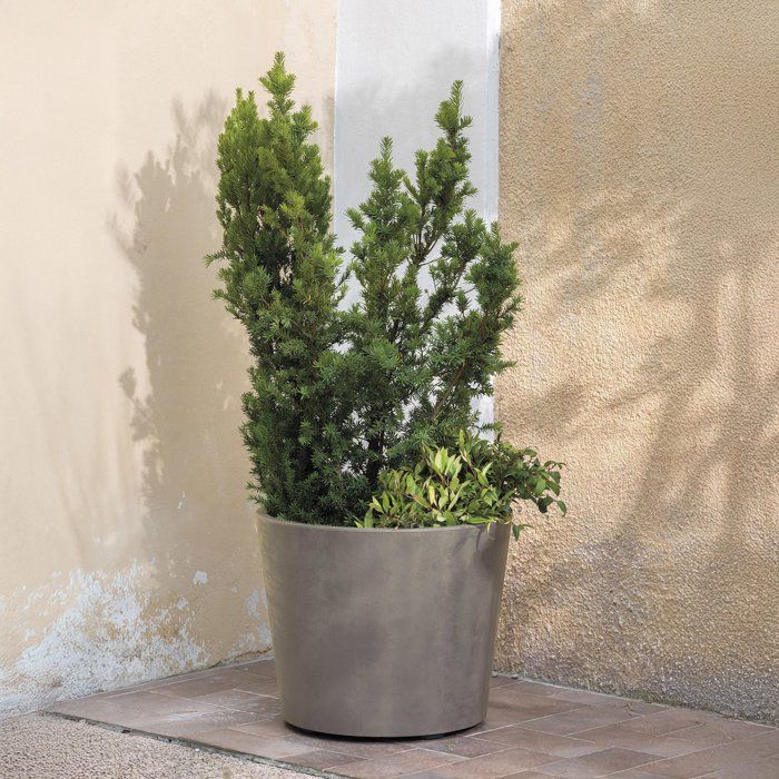 Pot de fleurs rond - DEROMA - Millennium - 79 L - Ø 50 cm - A réserve d'eau et roulettes - Marron