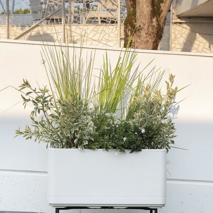DEROMA Jardiniere Muret Cosmo - 78 x h39 cm - Perle - A réserve d'eau - Roulettes