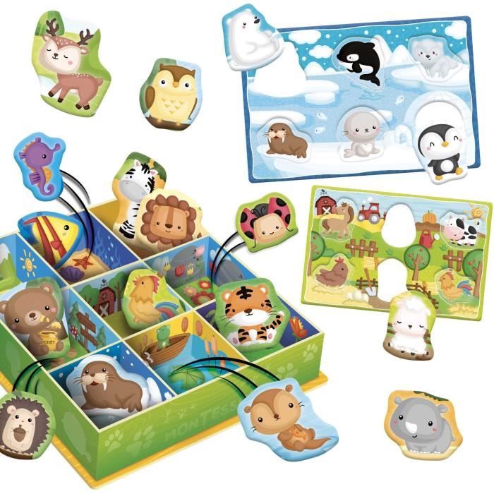 Boîte d'apprentissage Tri animaux - Jeu Montessori - LISCIANIGIOCHI - Jeu de classification, Apprentissage des habitats