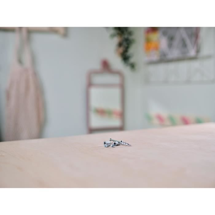 Chevilles Autoforeuses - RAPID - Métal pour Cloison Plâtre 6-16mm - Lot 10 - Charge Max 5 kg - Sans Perçage - (5001558)