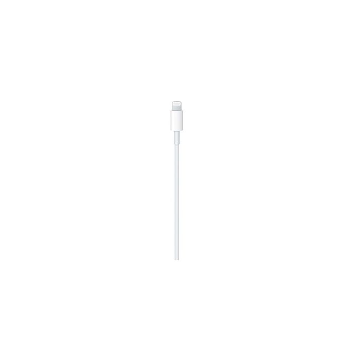 Câble USB-C vers Lightning (1?m) Apple original
