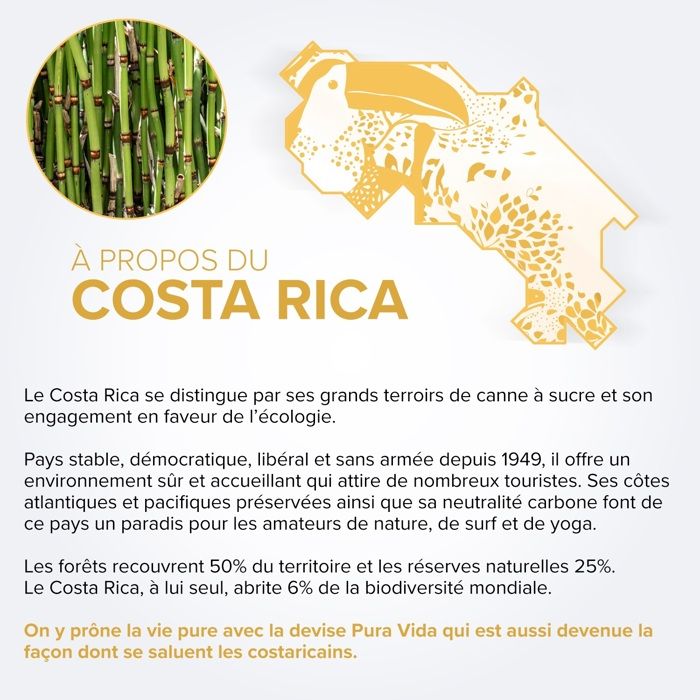 PURA VIDA - XO - Rhum Vieux - 40,0% Vol. - 70 cl