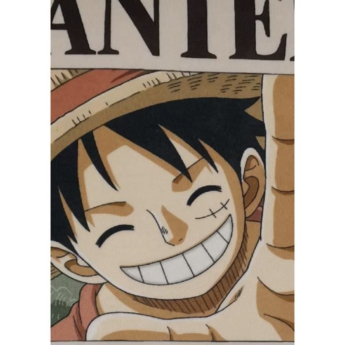Coussin double face - Carré - ONE PIECE - Monkey D. Luffy Wanted - Microfibre - 40 x 40 cm