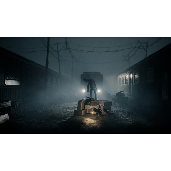 Reanimal - Deluxe Edition Jeu Nintendo Switch 2