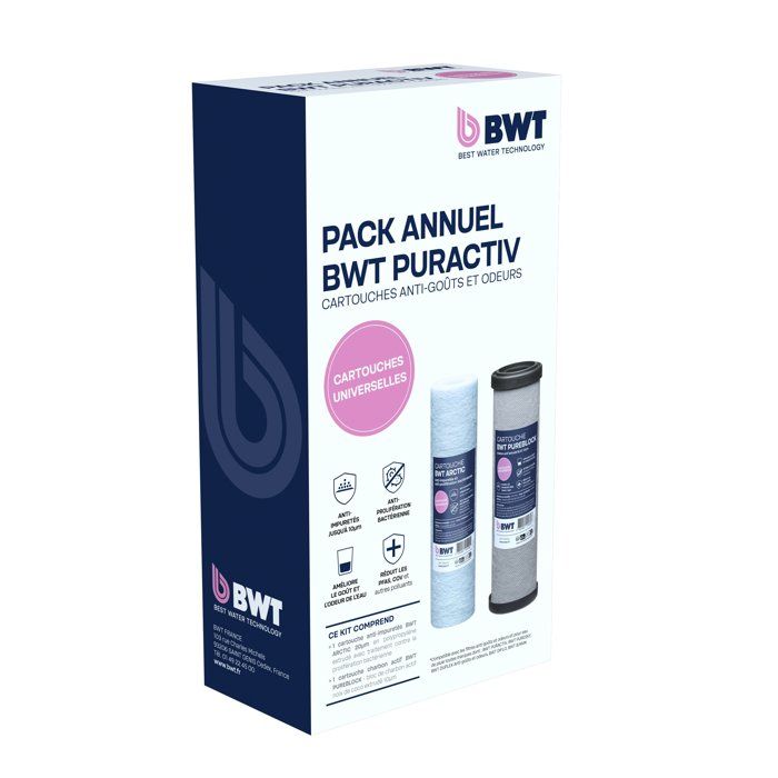 Station de filtration duplex - BWT - PURACTIV - ARCTIC 20 µm + PUREBLOCK - Filtration impuretés