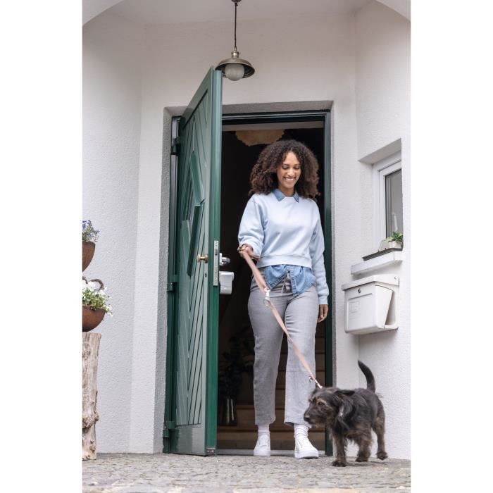 Boitier motorisé - ABUS - LOXERIS One CFA4100 S - Bluetooth - Argent