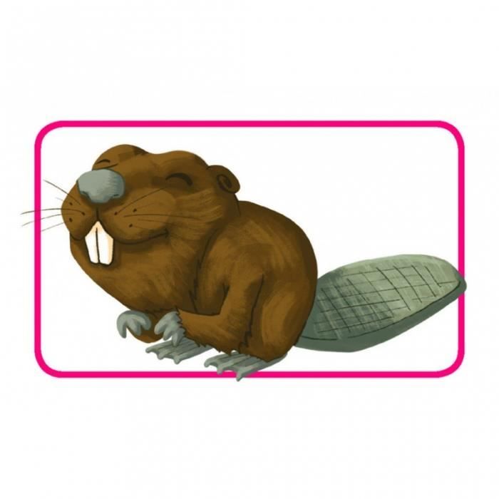 Concept Kids†: Animaux - Asmodee - Jeu de sociÈtÈ