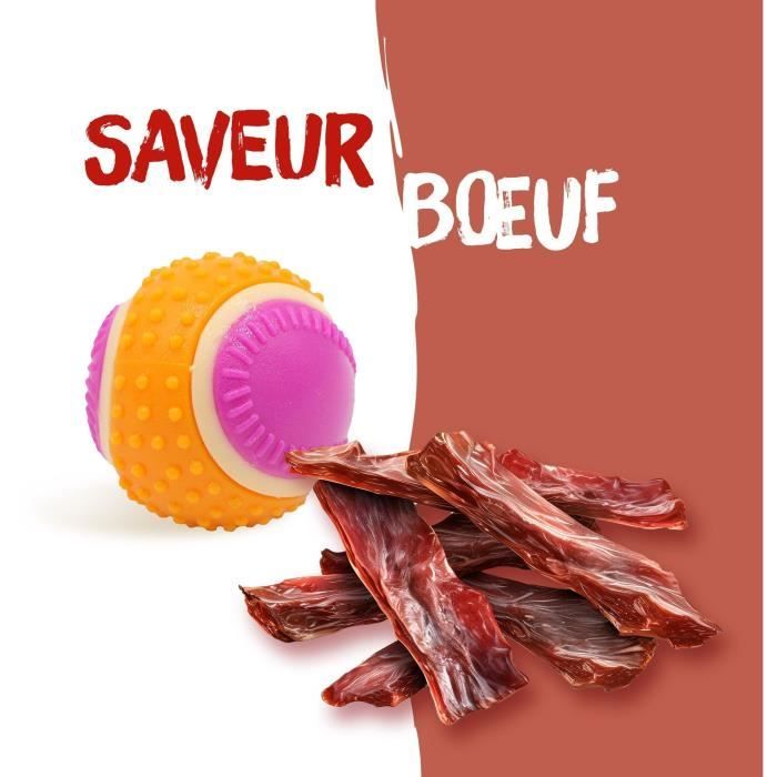 Balle pour chien - AIMÉ - 5 en 1 Saveur Boeuf