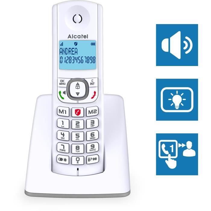 TÈlÈphone sans fil - ALCATEL - F530 - Solo Gris