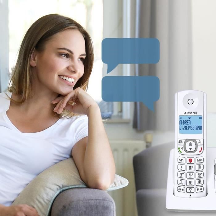 TÈlÈphone sans fil - ALCATEL - F530 Voice - RÈpondeur, blocage d'appels, mains libres, 2 mÈmoires directes, Blanc/Gris