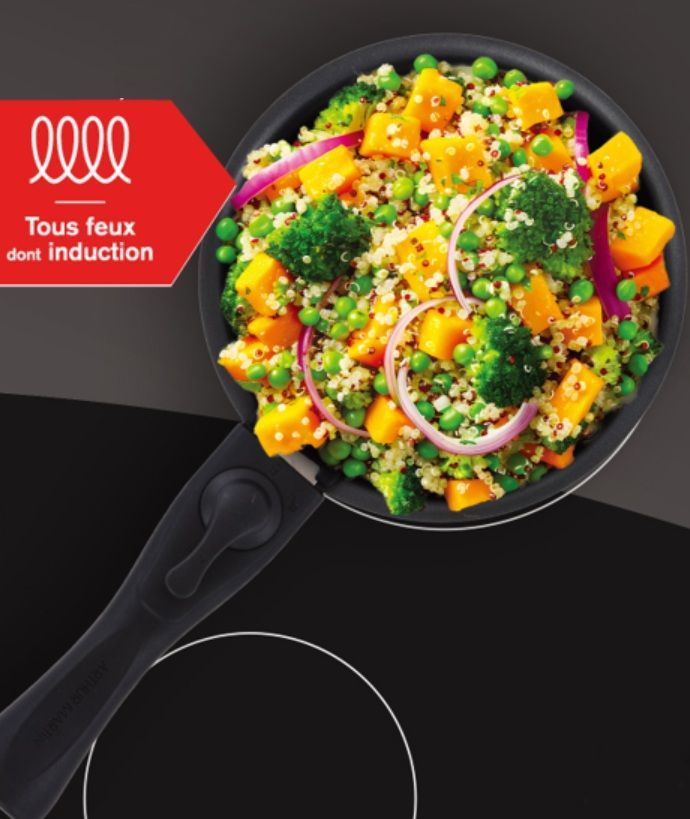 Set de 2 casseroles - Tous feux dont induction - ARTHUR MARTIN - AM2984 - Anti-adhésif - Ø 16-20 cm + Poignée amovible - Gris mat