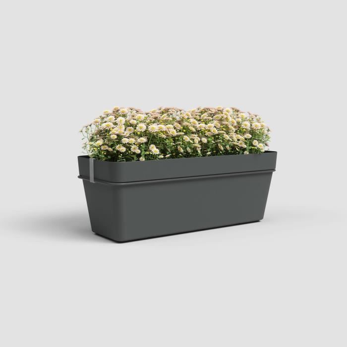 ARTEVASI Kit balcon Jardiniere CAPRI RE 50cm anthracite - 50,2 x 28,5 x h20 cm - 1,45L