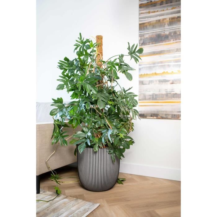 CAPI EUROPE Pot de fleurs boule GROOVE NL - 43x41 cm - Anthracite