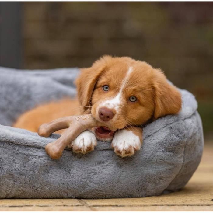 Os a m‚cher pour chiots - BENEBONE - Puppy WISHBONE S - Nylon - Saveur bacon 100% vÈritable