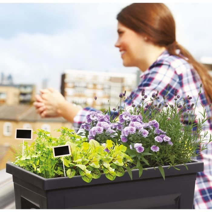 Espace potager sur pieds - EDA - Veg&Table City - 57 L - Table de culture sur pieds - 76 x 38,5 x H. 68 cm - Gris Anthracite