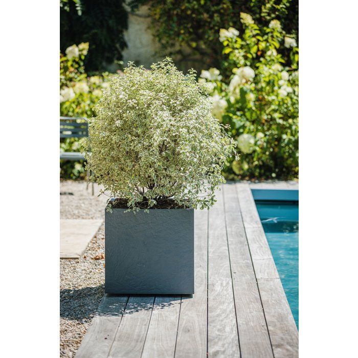Pot de fleurs Carré 50 cm - EDA - Volcania - 57 L - Intérieur/Extérieur - Décor Pierre - 49,5 x 49,5 x H. 49,5 cm - Gris Anthracite