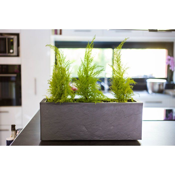 Balconniere - EDA - Volcania Up - 25 L - Intérieur/Extérieur - Décor Pierre - 59 x 19,5 x H. 22,8 cm - Gris Anthracite