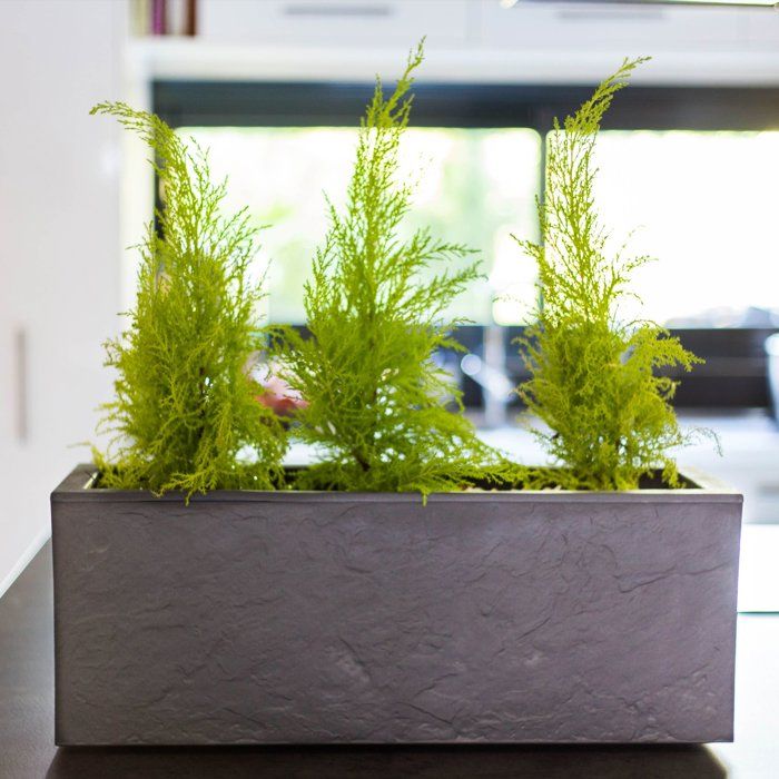 Balconniere - EDA - Volcania Up - 25 L - Intérieur/Extérieur - Décor Pierre - 59 x 19,5 x 22,8 cm - Gris Anthracite