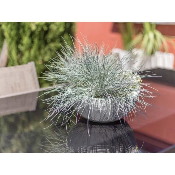 Pot vasque Ø 30 cm - EDA - Graphit Up - 5,5 L - Intérieur / Extérieur - Ø 29,5 x H. 12 cm - Blanc Cérusé