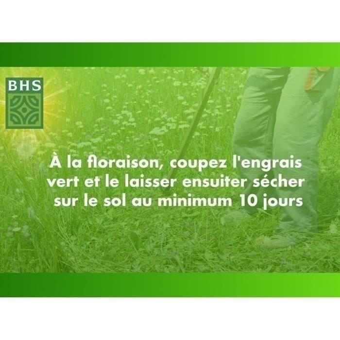 Trefle Blanc - BHS - 500 m˛| Favorise la biodiversité, s'adapte a tous types de sols et résiste au piétinement.