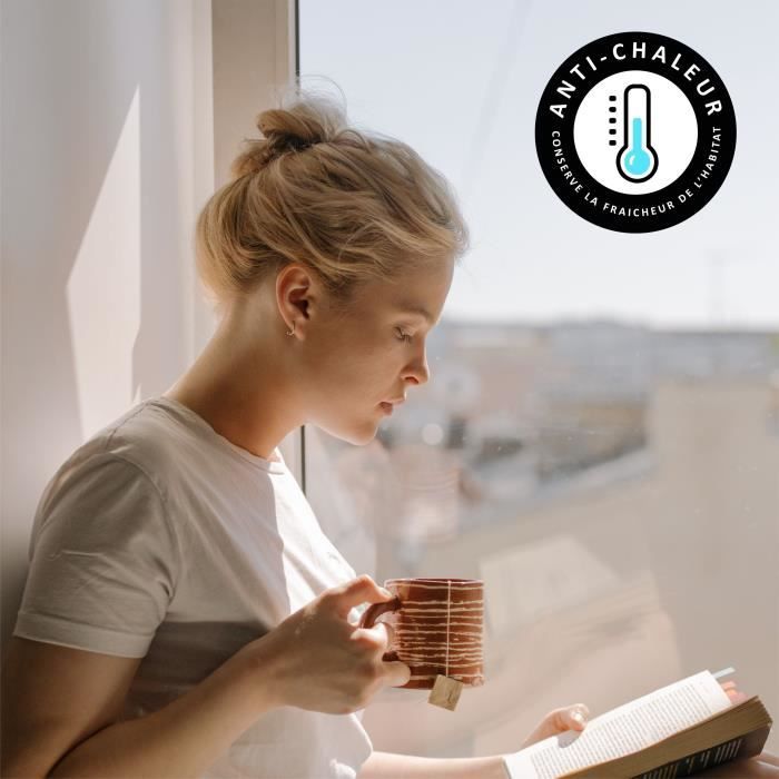 Film AdhÈsif pour Vitrage - EASY PROTEC - 100 x 90 cm - Anti Chaleur