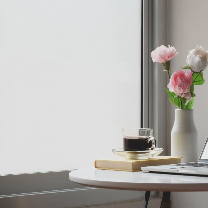 Film Repositionnable pour Vitrage - EASY PROTEC - 100 x 90 cm - DÈpoli Anti Regard