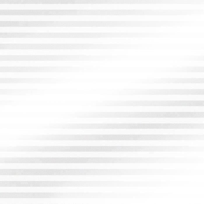 Film AdhÈsif pour Vitrage - EASY PROTEC - 100 x 90 cm - Store VÈnitien