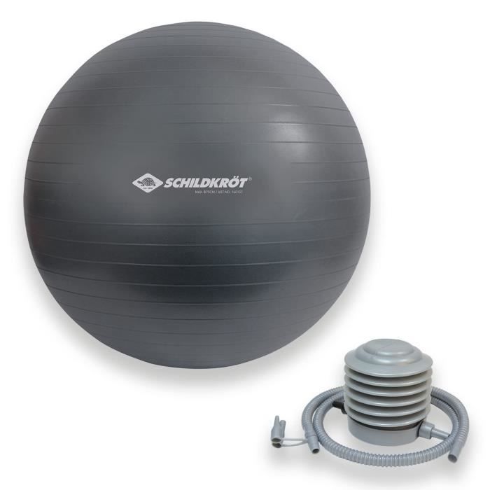 Ballon d'exercice - SCHILDKR÷T - Fitness et Yoga - Diametre 75 cm - Pompe incluse