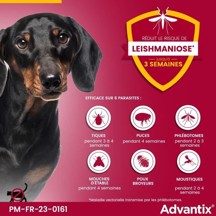 Advantix Chien Solution Antiparasitaire Puces Tiques Répulsif Mouches Moustiques Phlébotomes 1,5 a 4kg 4 pipettes