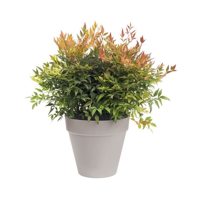 ELHO Pot de fleurs rond Loft Urban - Ø 28.5 x H 26 cm - Gris anthracite