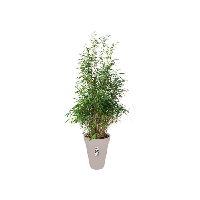 ELHO Pot de fleurs rond Loft Urban Haut 42 - Gris - Ø 42 x H 56 cm - Extérieur
