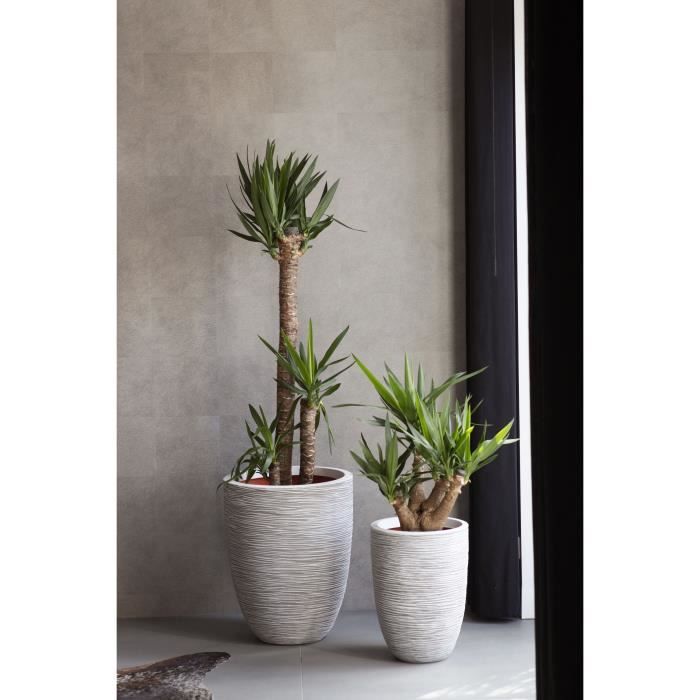 CAPI EUROPE Pot de fleurs élégant bas RIB NL - 46x58 cm - Ivoire