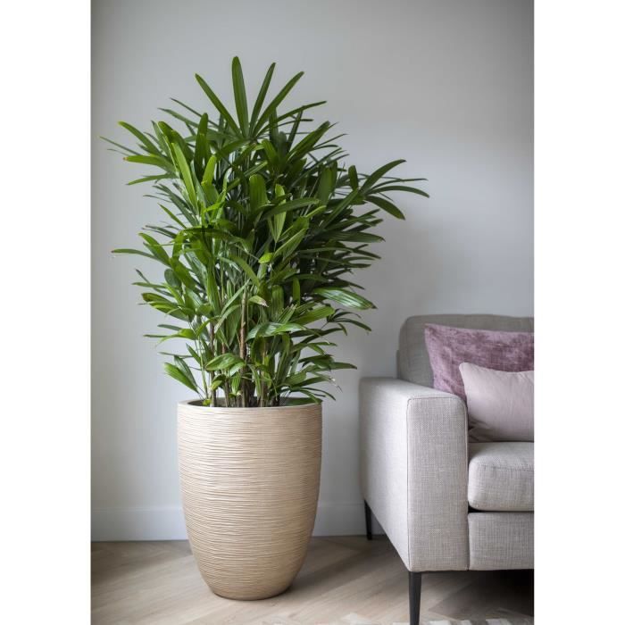 CAPI EUROPE Vase élégant bas WASTE RIB NL - 46x58 cm - Terrazzo beige