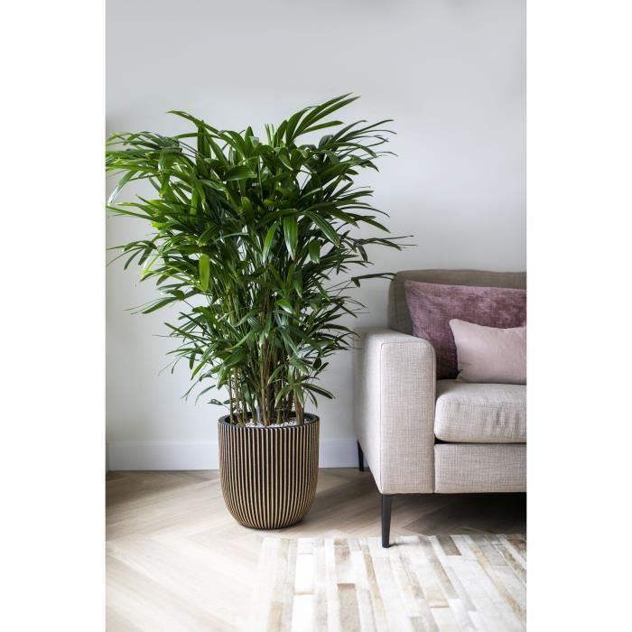 CAPI EUROPE Jardiniere GROOVE - 43x41 cm - Noir et doré - Plastique texturé