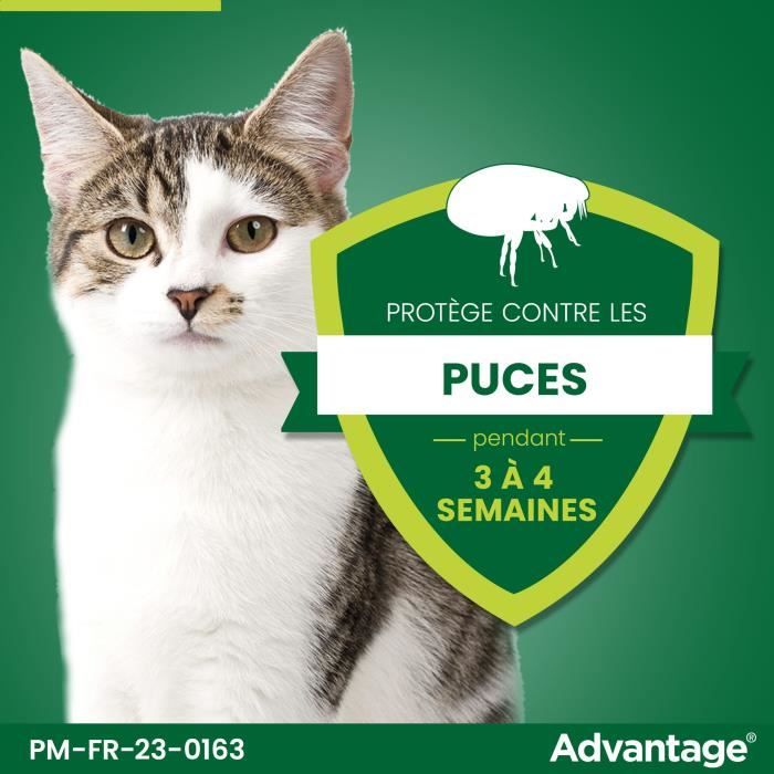 ADVANTAGE Solution Antipuce Chat Lapin 1 a 4kg 4 pipettes