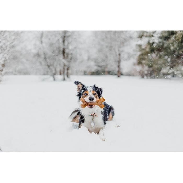 Benebone Jouet b‚ton a m‚cher pour chien adulte, Taille L, saveur bacon , durable et rÈsistant