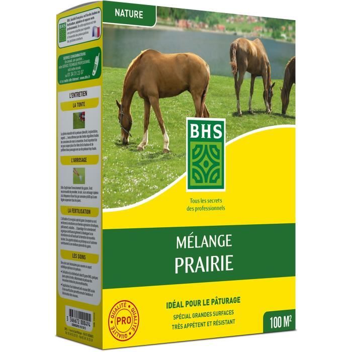 Gazon - BHS - Mélange Prairie 1kg | 40m² | Pour zones extensives et pâturage | Installation rapide, résistant, sans entretien.