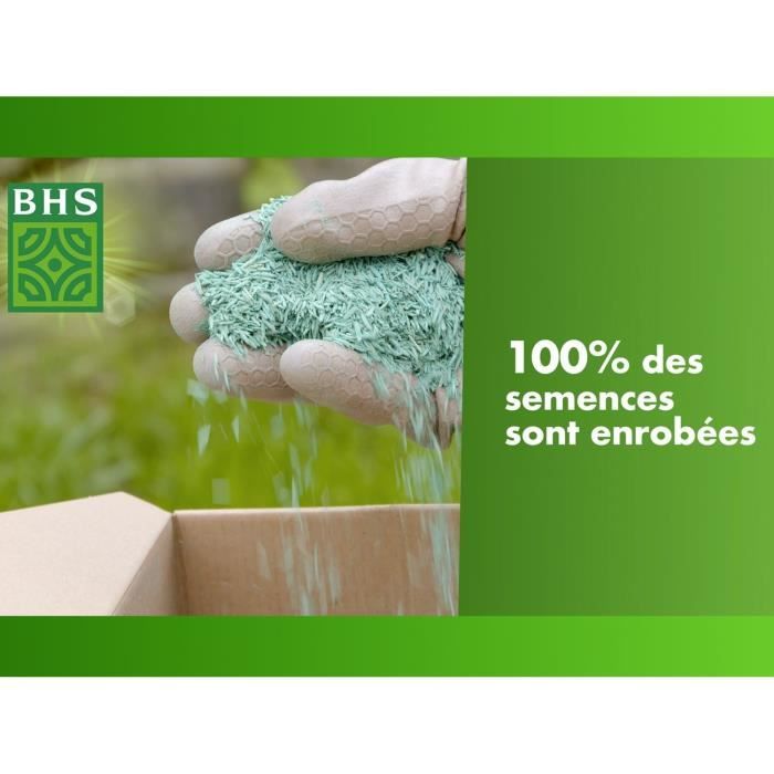 Gazon - BHS - Gazon Rustique Sud - 1kg, 40 m². Résistant aux conditions seches grâce a la fétuque élevée. Rapide et homogene.
