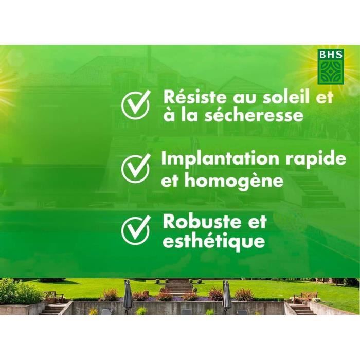 Gazon - BHS - Gazon Rustique Sud - 1kg, 40 m². Résistant aux conditions seches grâce a la fétuque élevée. Rapide et homogene.