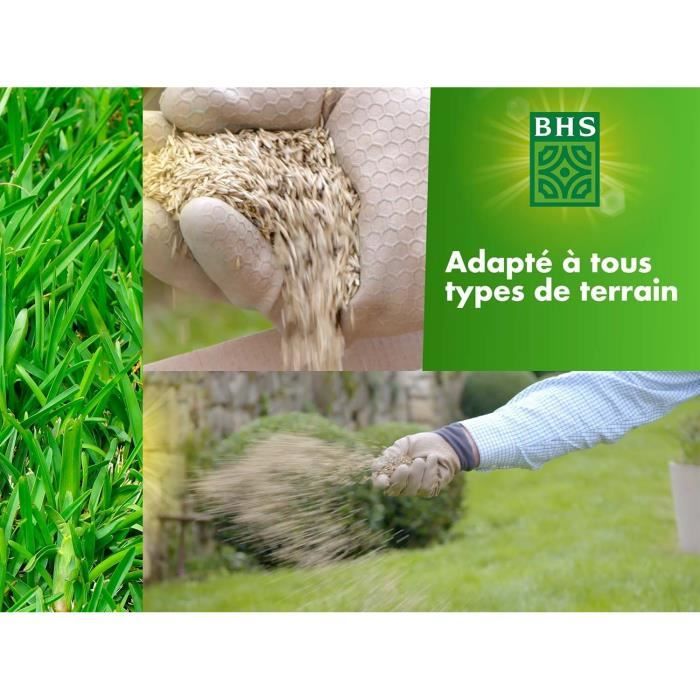 Gazon - BHS - Gazon Rustique 1 KG - Plus résistant et mieux protégé - Rapide et Durable - Tous Types de Terrain et Climats, Robuste