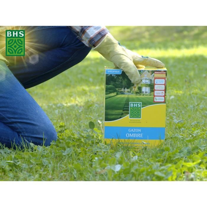 Semence de gazon - BHS - Gazon Ombre 1kg | 40m˛ | Résistant a la faible luminosité et aux zones ombragées.