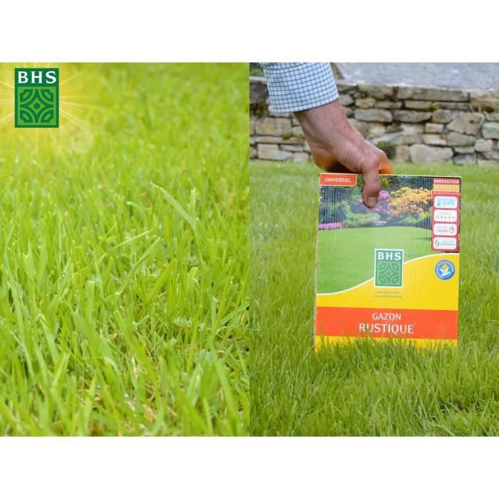 Gazon - BHS - Gazon Rustique 20kg, pour jardins traditionnels et tous types de sols. Dense, esthétique, rapide et durable.