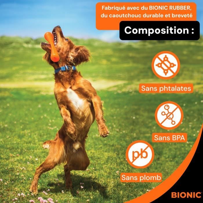 Jouet pour chien - BIONIC - Bâton Urban stick - Taille Medium 23 cm - En caoutchouc ultra résistant - sans plomb, BPA ni phtalates