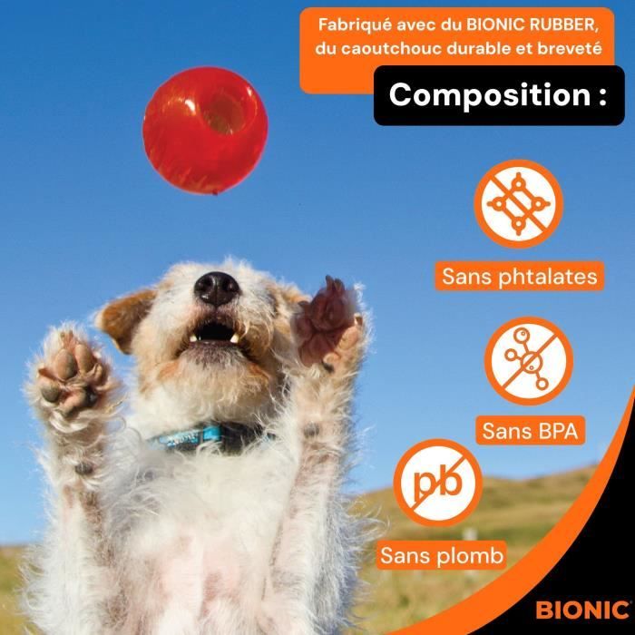 Jouet pour chien - BIONIC - Balle - Taille Medium 6,7 cm - Caoutchouc ultra résistant - sans plomb, BPA ni phtalates