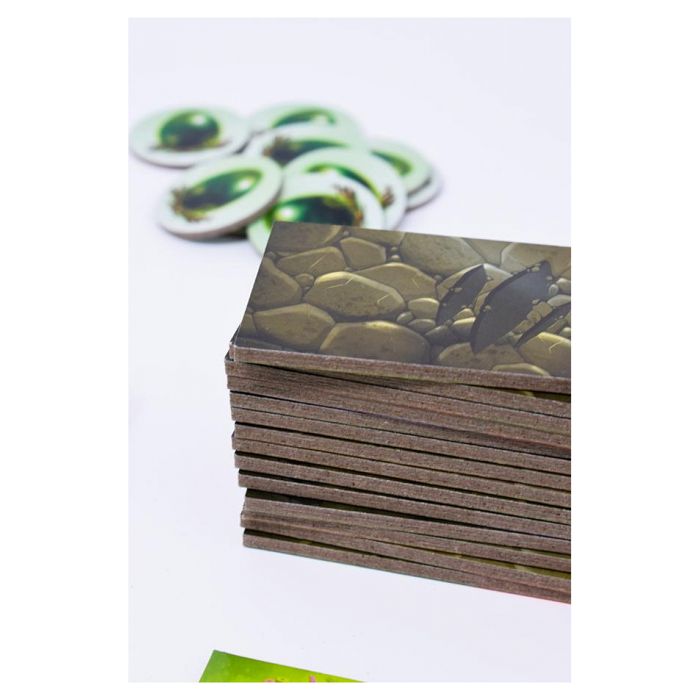 Dragomino - Jeu de société - BKR BUNKER - Multicolore - 2 joueurs ou plus - Mixte