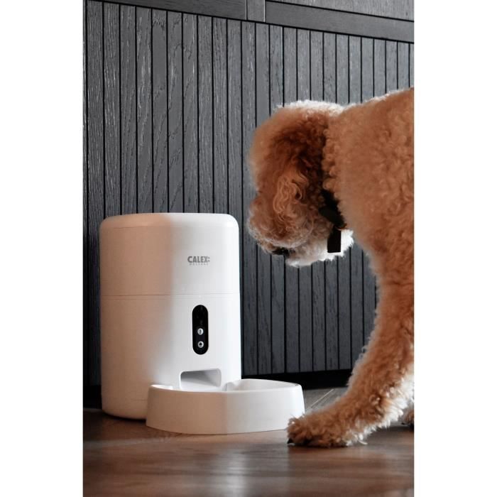Mangeoire intelligent avec camÈra - CALEX - SMART PETFEEDER - Blanc