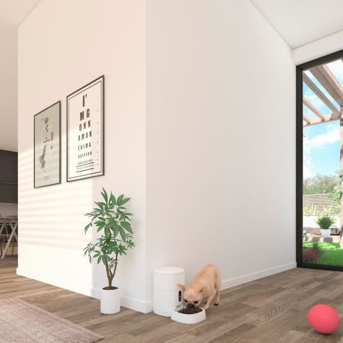Mangeoire intelligent avec camÈra - CALEX - SMART PETFEEDER - Blanc