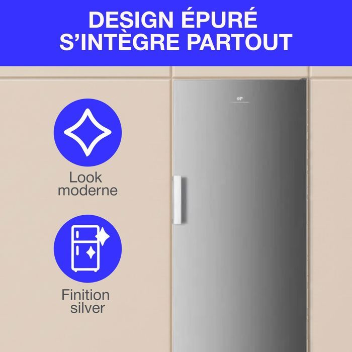 Congélateur armoire 204L - Total No Frost (Sans givre) - Classe E - Silver - L54 cm x H171 cm
