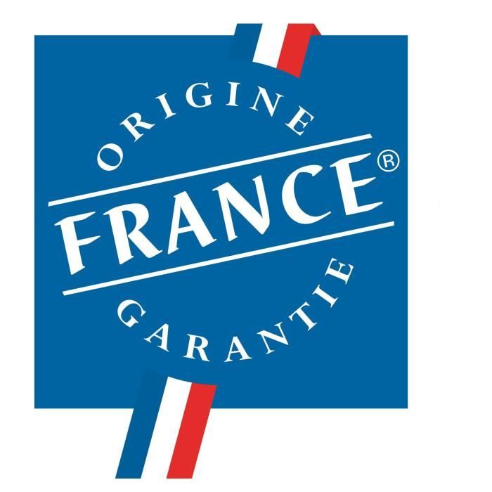 CONCORDE Arkadi Plus 1000 watts Radiateur a vÈritable inertie rÈfractite - Programmable - DÈtecteur prÈsence & fenetre